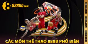 Các Môn Thể Thao 888B Phổ Biến
