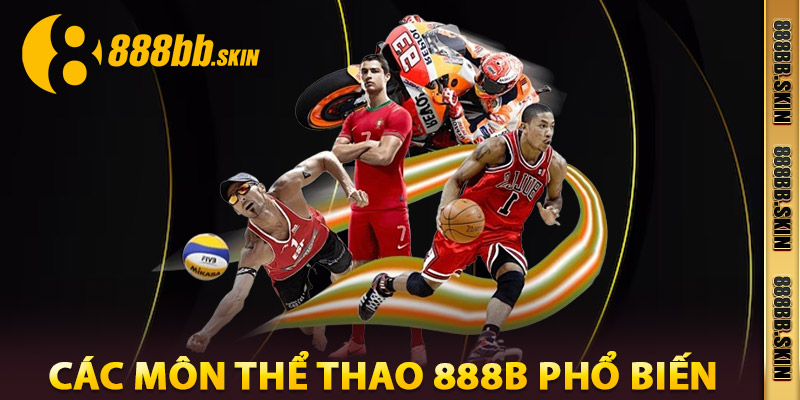 Các Môn Thể Thao 888B Phổ Biến